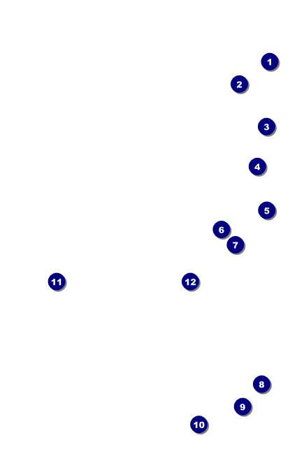 Animal Print VIP Event Badge Small Front Field Markers