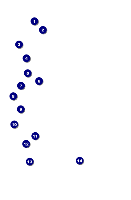 Military Ball - US Flags VIP Event Badge Small Front Field Markers