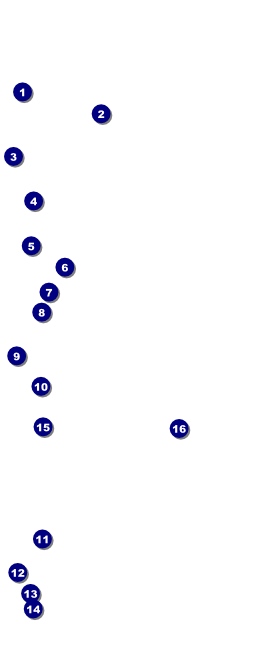 Nature Series - Green Leaves VIP Event Badge Large Front Field Markers