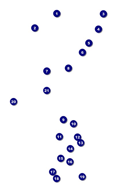 Rock Concert Grey VIP Event Badge Medium Front Field Markers