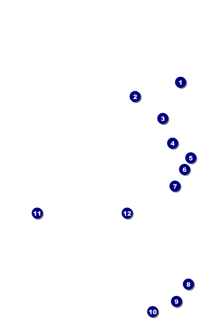 Astrology VIP Event Badge Medium Front Field Markers