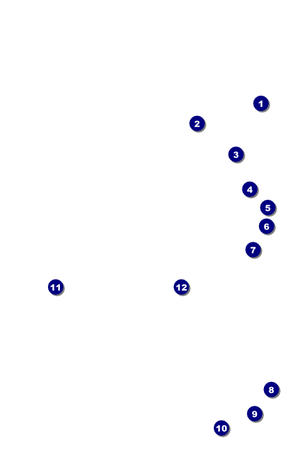 Astrology VIP Event Badge Small Front Field Markers