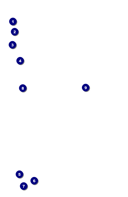 Banjo VIP Event Badge Small Front Field Markers