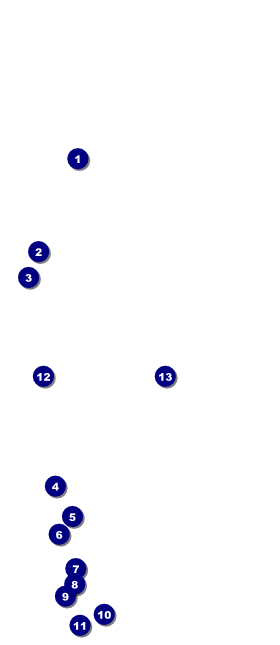 Bingo Bonanza Extravaganza VIP Event Badge Large Front Field Markers