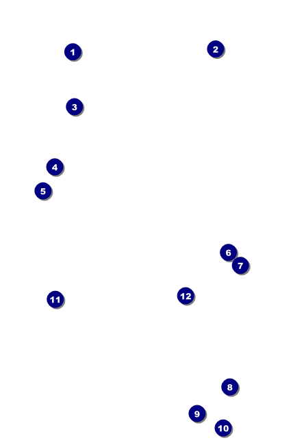 Bingo Bonanza Extravaganza VIP Event Badge Small Front Field Markers