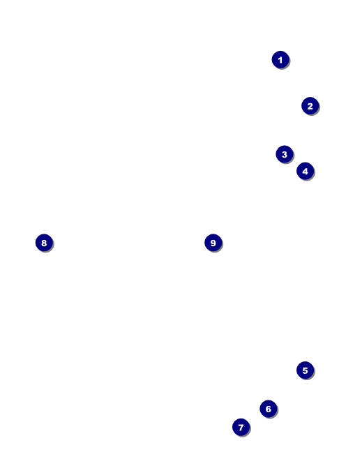 Blues Cruise Economy Event Badge Front Field Markers