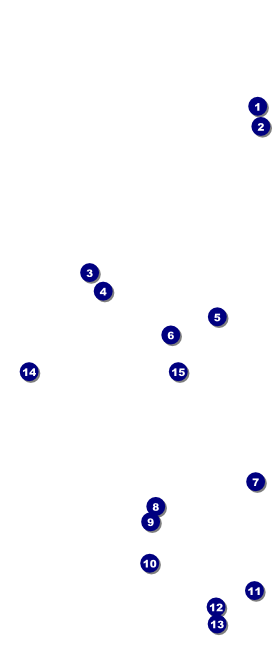 Boston VIP Event Badge Large Front Field Markers