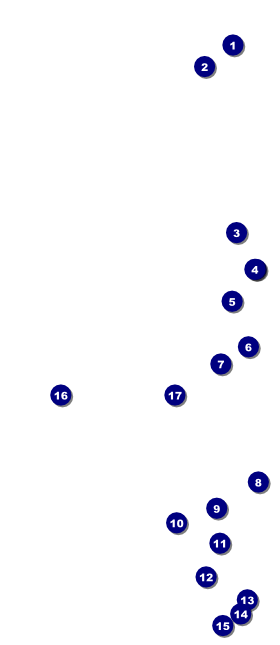 Bowling League VIP Event Badge Large Front Field Markers