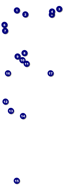 Children's Music Economy VIP Event Badge Large Front Field Markers