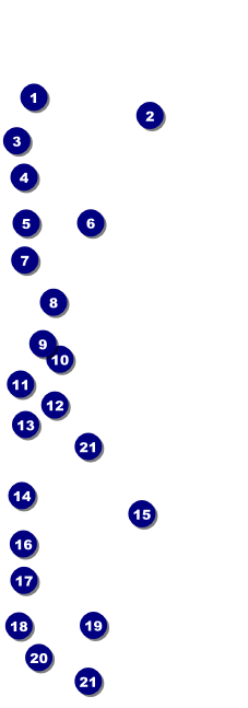 Birthday Whimsical  Event Ticket Front Field Markers