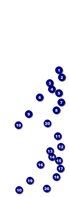 Food Festival Event Ticket Front Field Markers