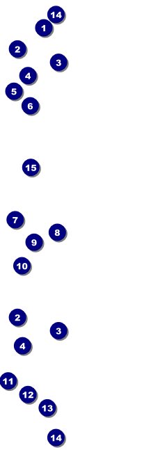 Sports Ticket 001 Navy & Gold Front Field Markers