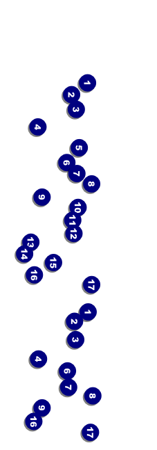 Detroit BW Event Ticket Front Field Markers