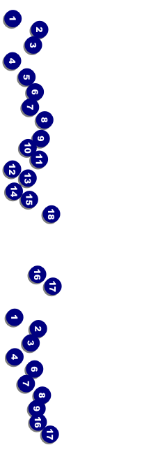 Leaf General Admission Ticket Front Field Markers
