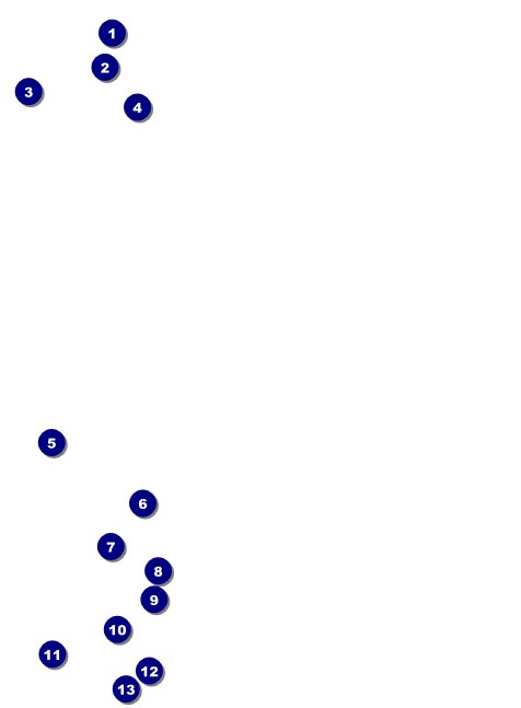 Demon Explosion Invitation Front Field Markers