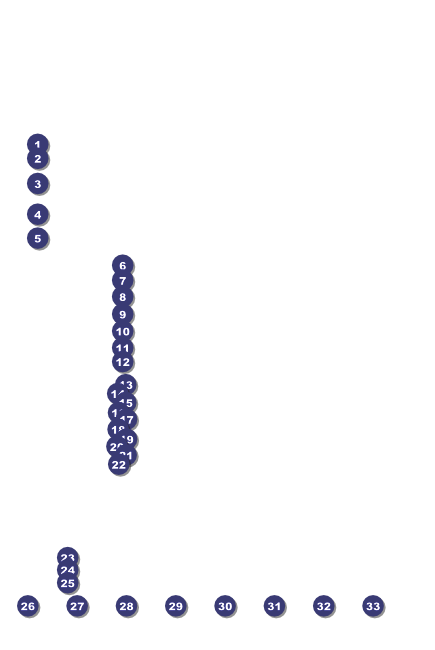 New Mexico Poster Front Field Markers