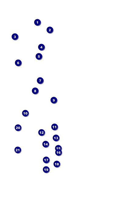 BBQ Vintage Logo Poster Front Field Markers