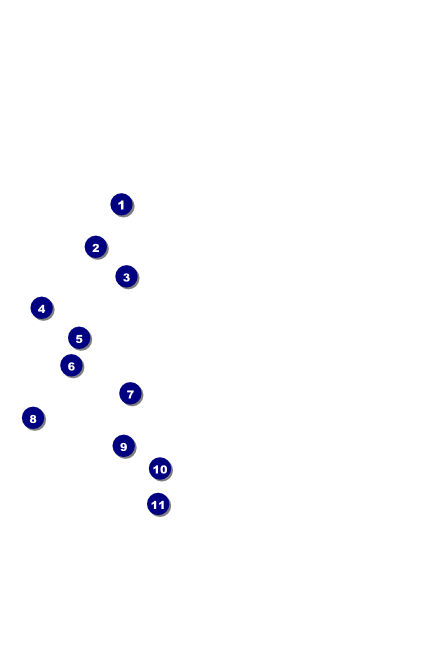 Year Tech Drink Ticket Front Field Markers