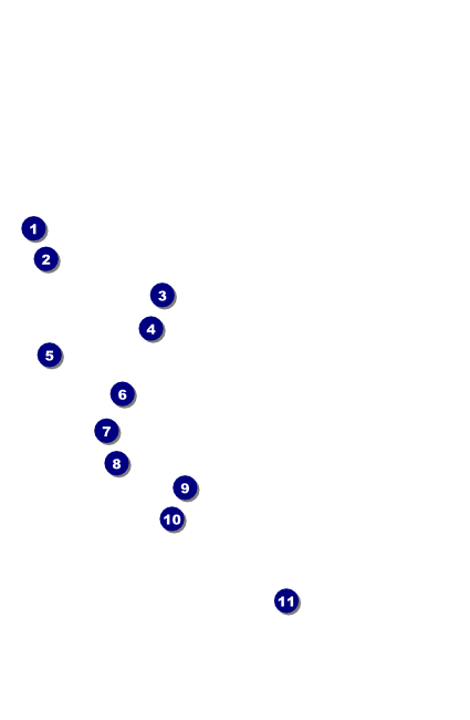 New York Drink Ticket Front Field Markers