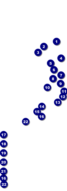 Casino Night Raffle Ticket Front Field Markers