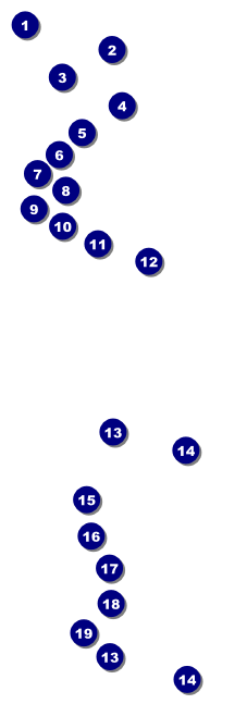 Illinois Raffle Ticket Front Field Markers