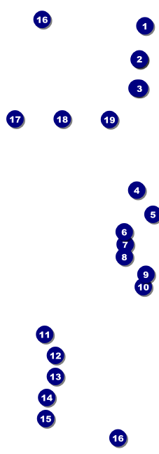 Disco Dance Festival Raffle Ticket Front Field Markers