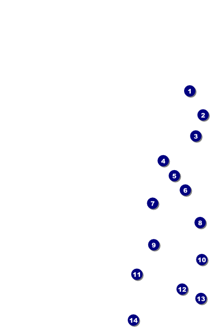 Americana Drink Ticket Front Field Markers