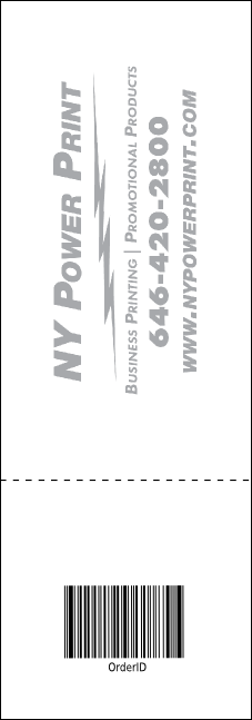 Boise 2 Raffle Ticket Product Back