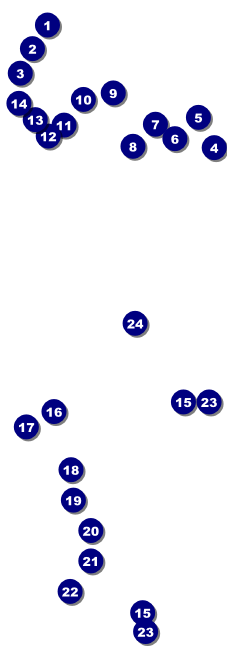 Basketball Raffle Ticket 003 Front Field Markers