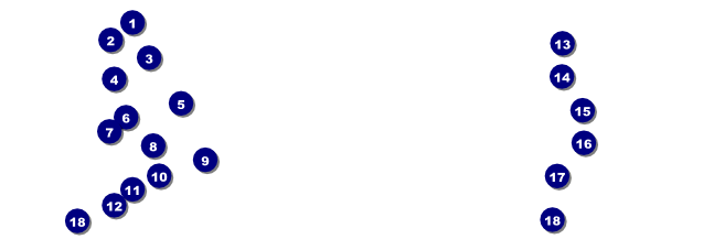 Aloha Raffle Ticket Front Field Markers