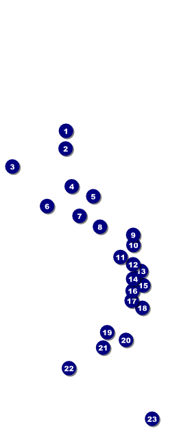 New Hampshire VIP Pass Front Field Markers