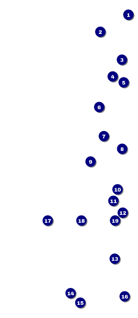 Retro Chalkboard VIP Pass Front Field Markers