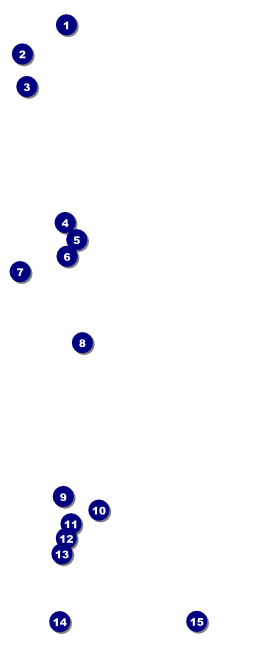 Carnival Monkey VIP Pass Front Field Markers