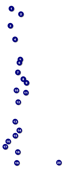 Book Fair VIP Pass Front Field Markers