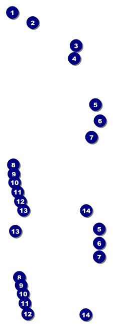Karaoke Event Ticket Front Field Markers