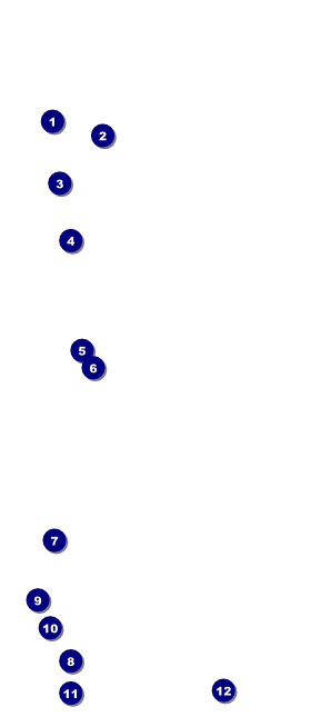 Cooking School VIP Pass Front Field Markers