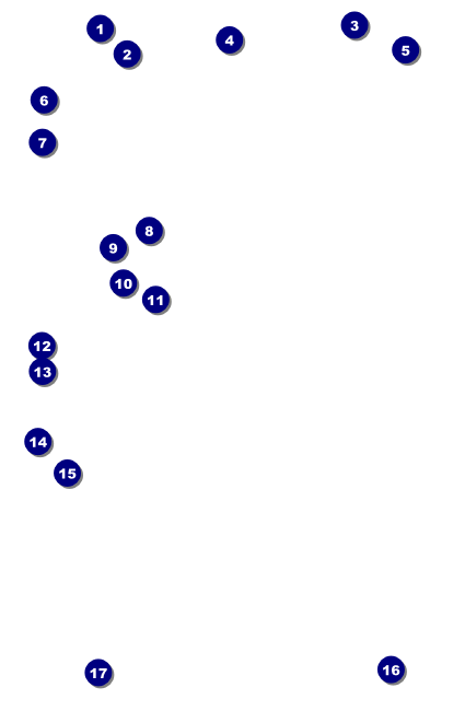 Children's Music Drink Ticket Front Field Markers