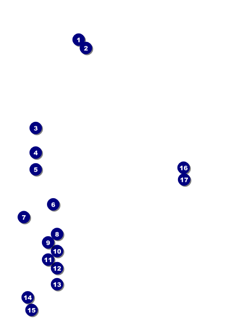 Movie Night Invitation Front Field Markers