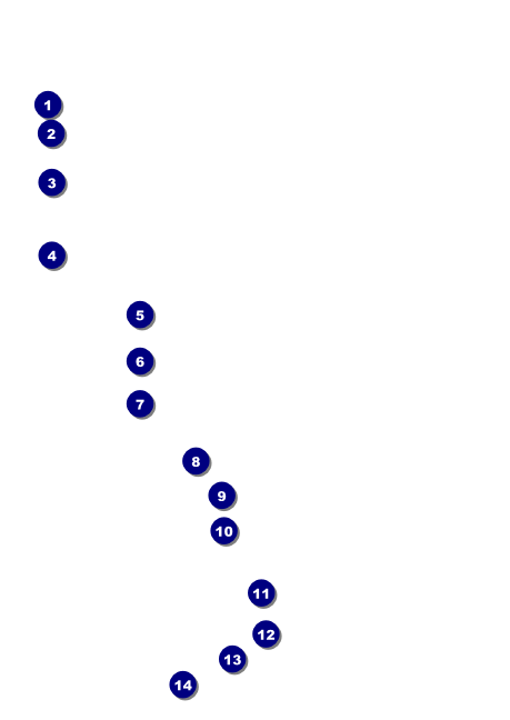 Claus-A-Palooza Club Flyer Front Field Markers