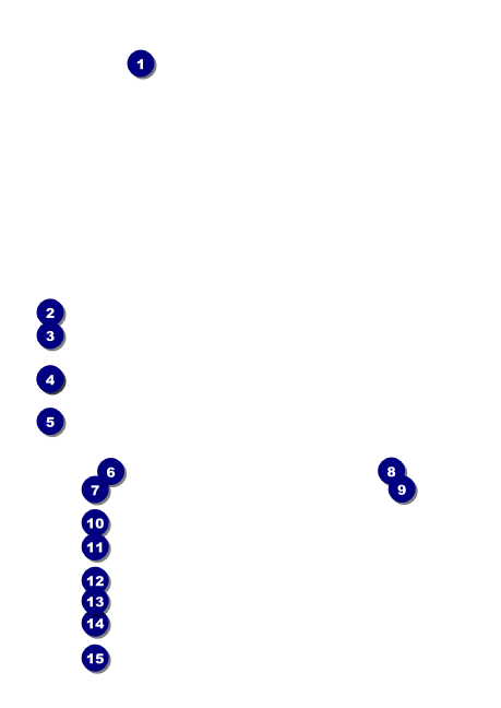 Tampa Bay Sunset Club Flyer Front Field Markers