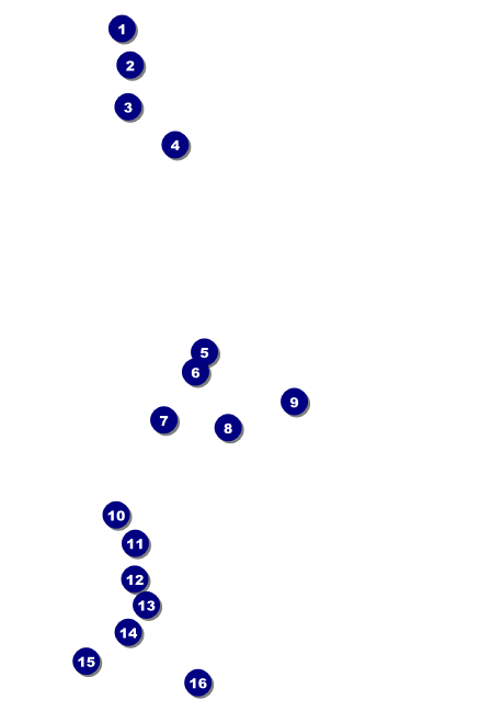 Gun Show Club Flyer Front Field Markers